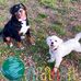 Beverly Walton - Facebook