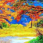 Beverly Watts - @bevery777 - Instagram