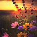 Beverley Wetherell - Facebook