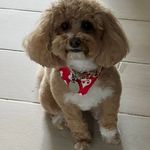 Beverly Burris Weatherall - @bevweatherall - Instagram