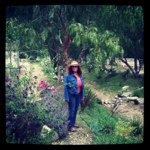 @beverlyweber - Instagram