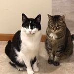 Beverly Janke Welch - @welch.beverly - Instagram
