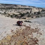 Beverly Welch - @bjwelch1011 - Instagram