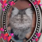 Beverly Welch - Facebook
