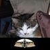 Beverly Whiteman - Facebook