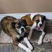 Beverly Wiley - Facebook