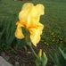 Beverly Wilkinson - Facebook
