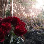 Beverly Wilkinson - @wilkinsonbeverly139 - Instagram