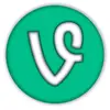 Offical Vinepage for Tiktok - @oldvinetimes - TikTok