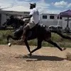 Devin White 💚 GetLiveStables - @getlivestables - TikTok