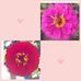 Bey Rodriguez - Facebook