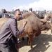 Beyene Kebede - Facebook