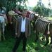 Beyene Kebede - Facebook