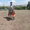 Beyene Kebede - @beyenekebede856 - TikTok