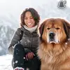 Brown Beyonce - @brown.beyonce - TikTok