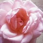 Beza Kassahun - @kassahunbeza - Instagram