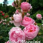 Bhabani Dey - @bhabani.dey.5682 - Instagram