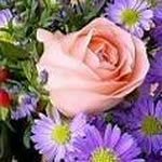 Bhabani Ghosh - @bhabani.ghosh.986 - Instagram