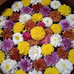 Bhakti Joshi - Facebook