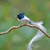 Bhakti Joshi - @joshibhaktii - TikTok