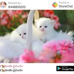 karri Bharathi - @bharathikarri71 - Instagram