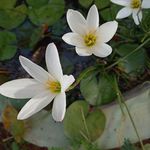 Bharathi Selvan - @bharathi.selvan.7583 - Instagram