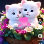 Bharathi Velu - @bharathivelu4 - Instagram