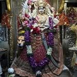 Bharati Modi - @bharati.modi - Instagram