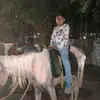 bhargav dave - @dave_bhargav - TikTok