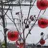 bhaskarbanerjee662 - @bhaskarbanerjee662 - TikTok