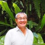 Bian Tan - @biantan11 - Instagram
