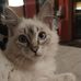 Bianca Barone - Facebook