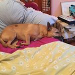 Bianca Baxter - @loveallanimals2282 - Instagram