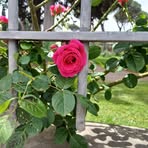 Bianca Chambers - Facebook