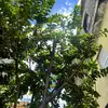 biancacuevas568 - @biagia00 - TikTok