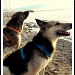 DUKE & BIANCA - @duke___bianca - Instagram