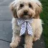 Bianca Dunlap - @bianca333dunlap - TikTok