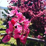 Biancadyer1606 - @biancadyer2003 - Instagram