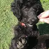 biancaeastaway - @biancaeastaway - TikTok