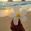 Rotinas - @easthetic.bianca._ - TikTok