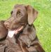 Bianca Eckert - Facebook