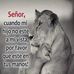 Bianca Edith Alvarez - Facebook