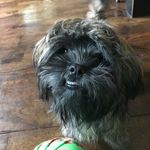 Bianca_ellison - @i_yam_awsome - Instagram