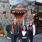 The Wheelchairdriver♿ - @bianca.engler - Instagram