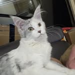 Bianca Erades - @eradesbianca - Instagram