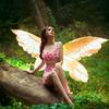bianca_fairy - @bianca_real_fairy - TikTok