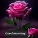Bianca Ferrer - Facebook