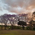 Bianca Elizabeth Newham Ferris - @farmerbanc.07 - Instagram