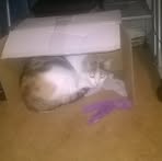 Bianca Herwig - Facebook