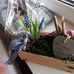 Bianca Hoffmann - Facebook